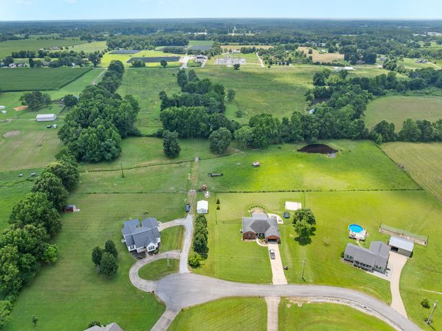 41 Harding Rd, Leoma, TN 38468