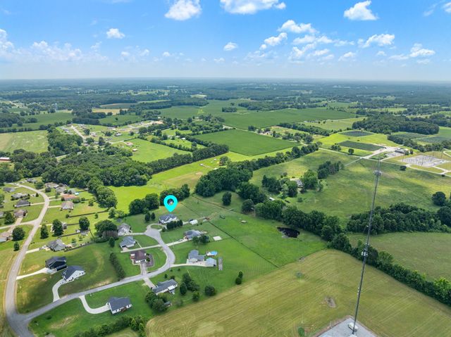 41 Harding Rd, Leoma, TN 38468