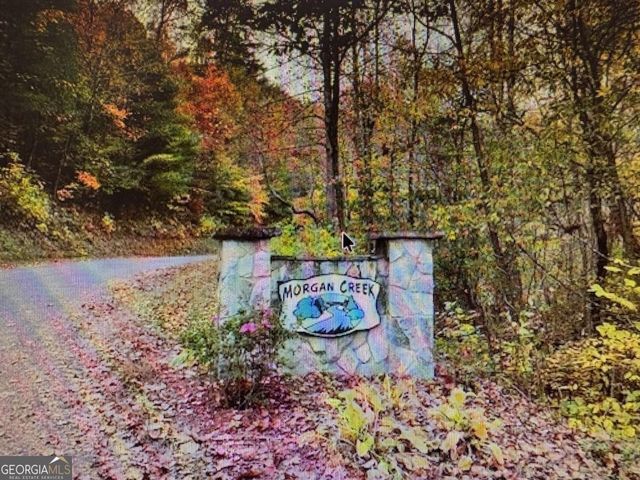 6 Morgan Creek Lot 6 6, Young Harris, GA 30582