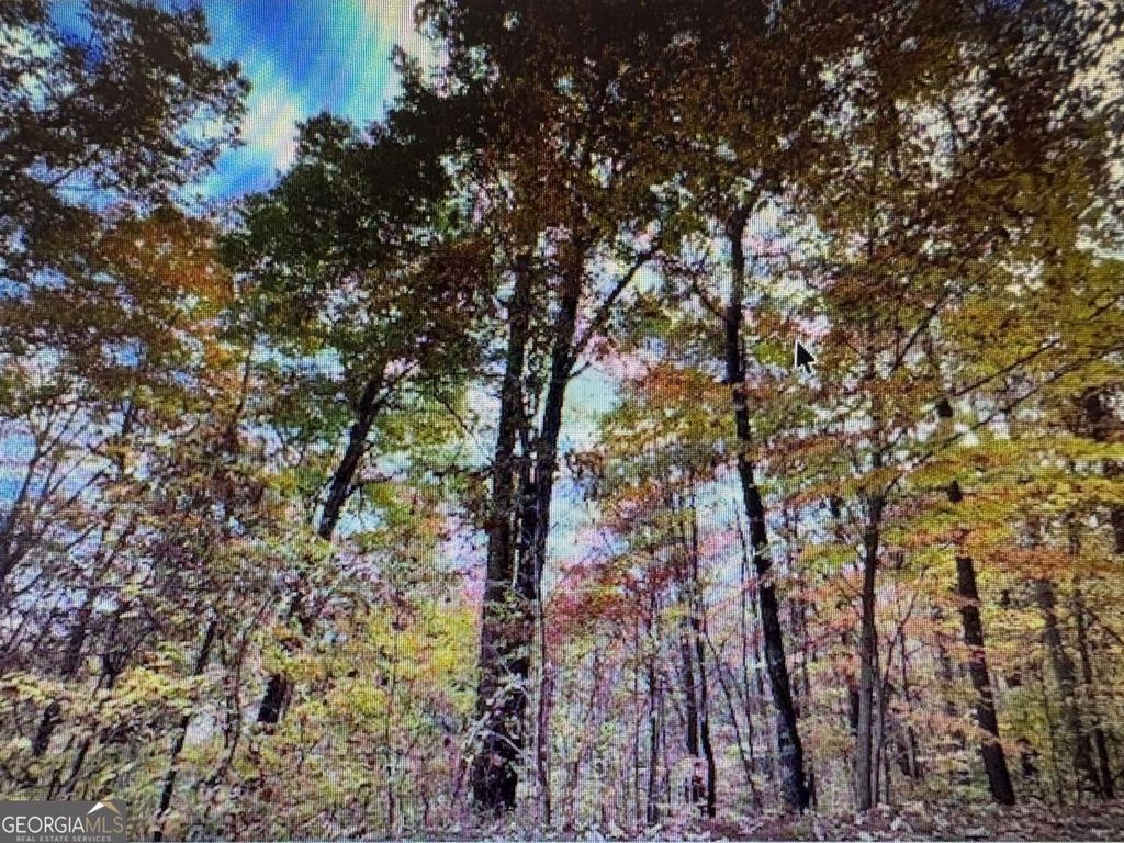 6 Morgan Creek Lot 6 6, Young Harris, GA 30582