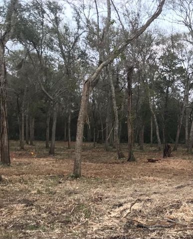 0 County Road 495, Brazoria, TX 77422