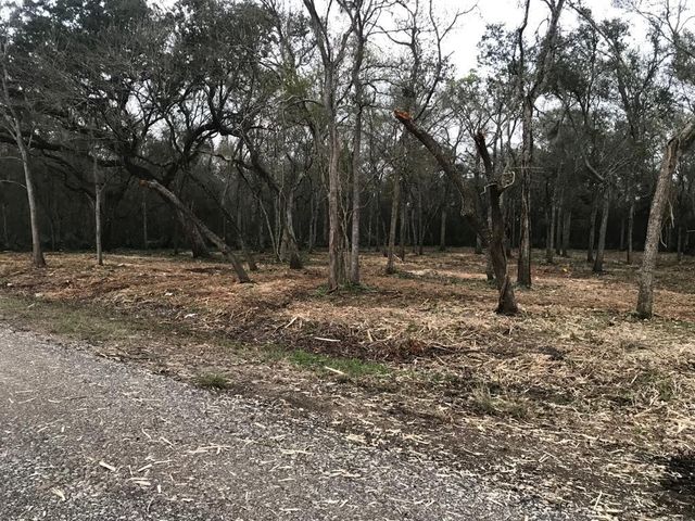 0 County Road 495, Brazoria, TX 77422
