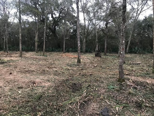 0 County Road 495, Brazoria, TX 77422