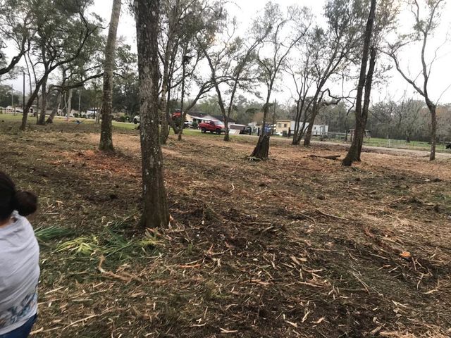 0 County Road 495, Brazoria, TX 77422