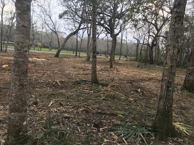 0 County Road 495, Brazoria, TX 77422