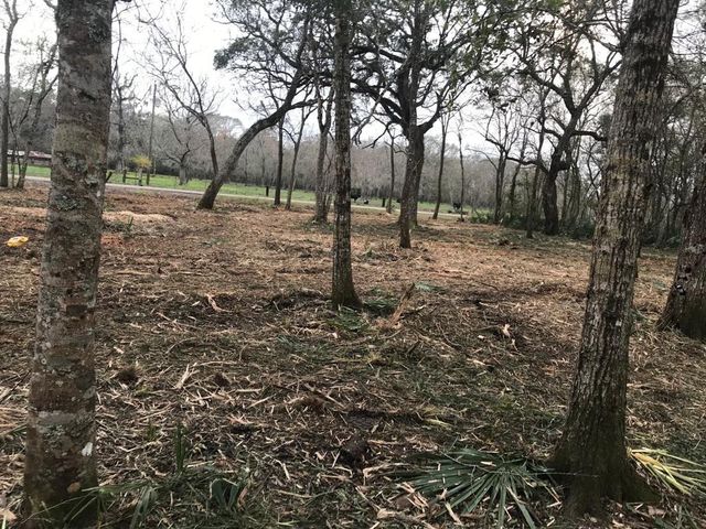 0 County Road 495, Brazoria, TX 77422