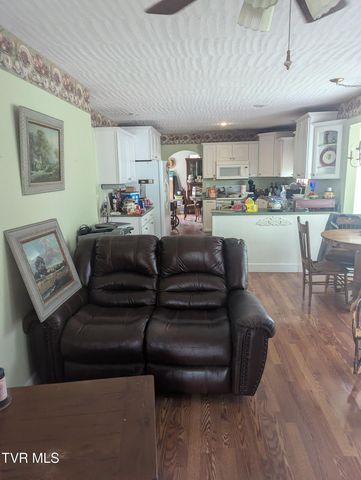 9355 Lonesome Pine Trail, Mosheim, TN 37818