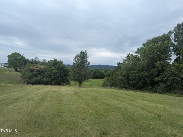 9355 Lonesome Pine Trail, Mosheim, TN 37818
