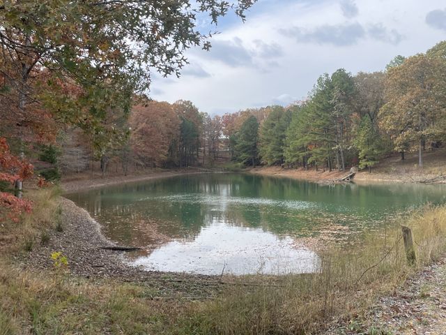 2203 Deer Lake Dr, Nunnelly, TN 37137