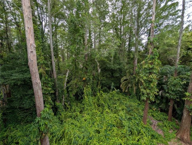 2577 DOLLY BAY DRIVE 302, Palm Harbor, FL 34684