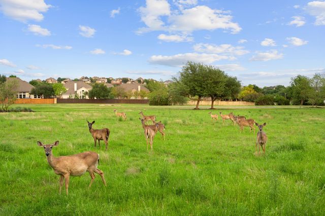 362 Wellington DR, Austin, TX 78737