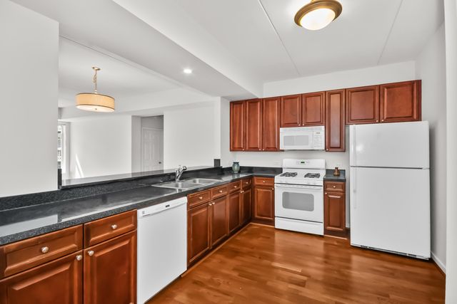 515 N Harlem Avenue 203, Oak Park, IL 60302