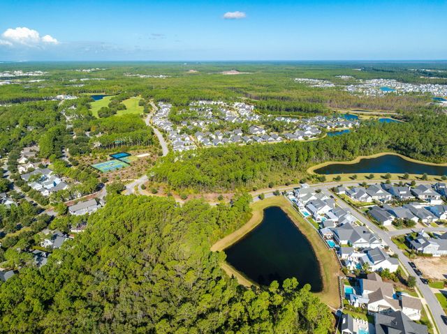 46 Needle Cast Lane, Inlet Beach, FL 32461