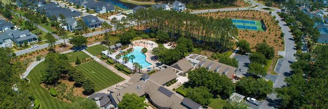 46 Needle Cast Lane, Inlet Beach, FL 32461