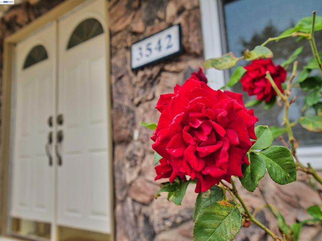 3542 Surry Pl, Fremont, CA 94536