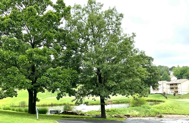 187 Clubhouse Drive 23, Branson, MO 65616