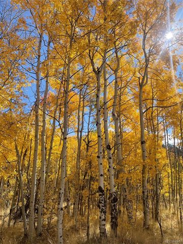 259 Bordenville Road, Jefferson, CO 80456