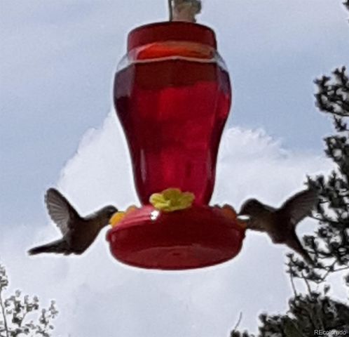 259 Bordenville Road, Jefferson, CO 80456