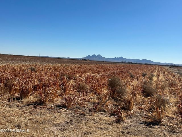 990 SW New Frontier Drive, Deming, NM 88030