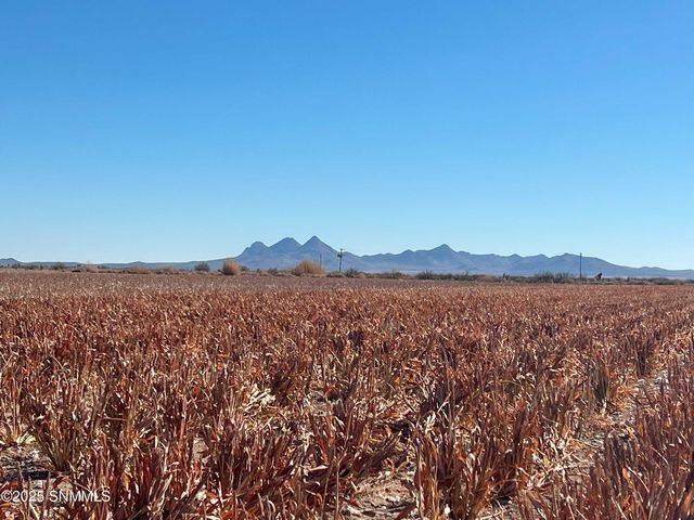 990 SW New Frontier Drive, Deming, NM 88030