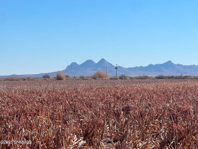 990 SW New Frontier Drive, Deming, NM 88030