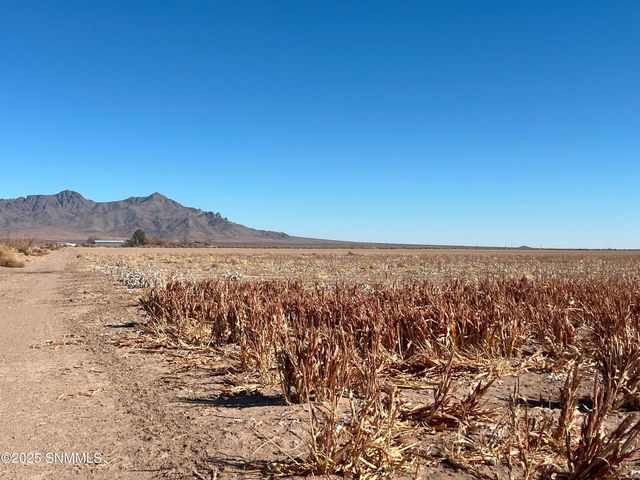 990 SW New Frontier Drive, Deming, NM 88030