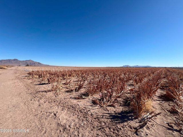 990 SW New Frontier Drive, Deming, NM 88030