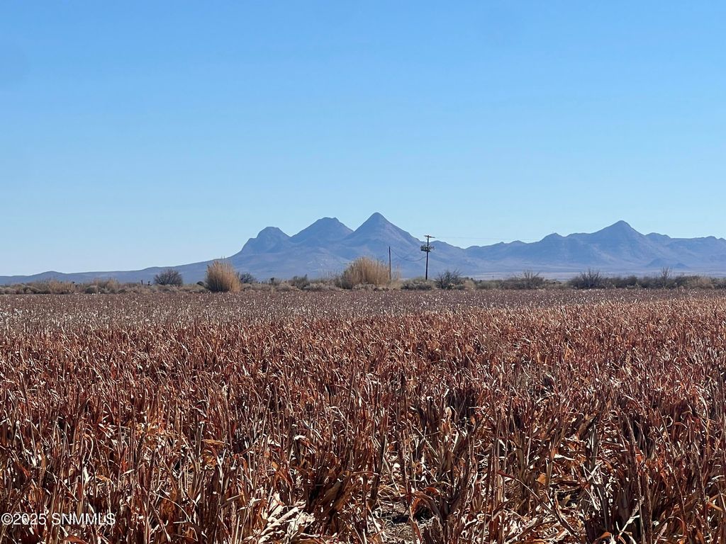 990 SW New Frontier Drive, Deming, NM 88030