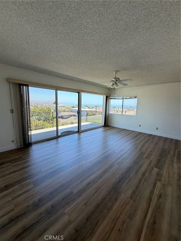 33842 Granada, Dana Point, CA 92629
