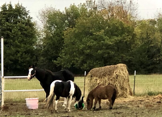 5016 Fm 121, Van Alstyne, TX 75495