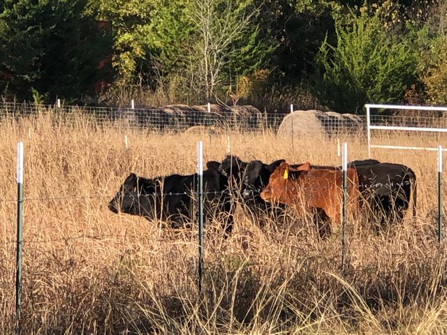 5016 Fm 121, Van Alstyne, TX 75495