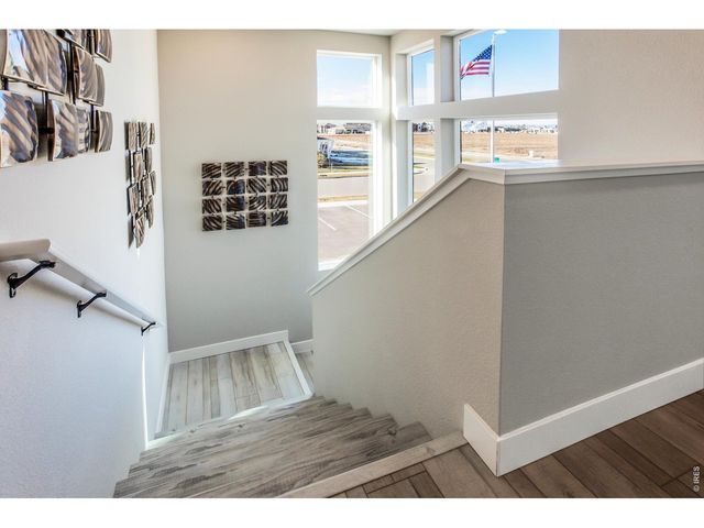5417 Yancy St, Timnath, CO 80547