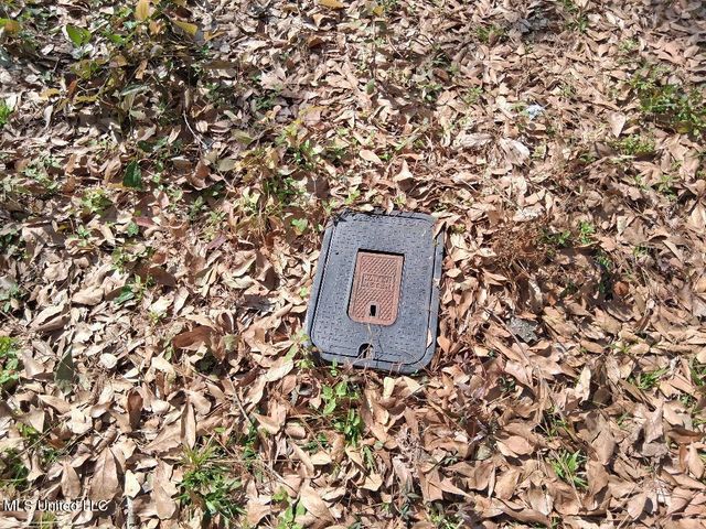 2498 Bayou Oaks Street, Gautier, MS 39553