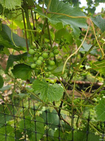 1809 Elizabethan Court, South Bend, IN 46614