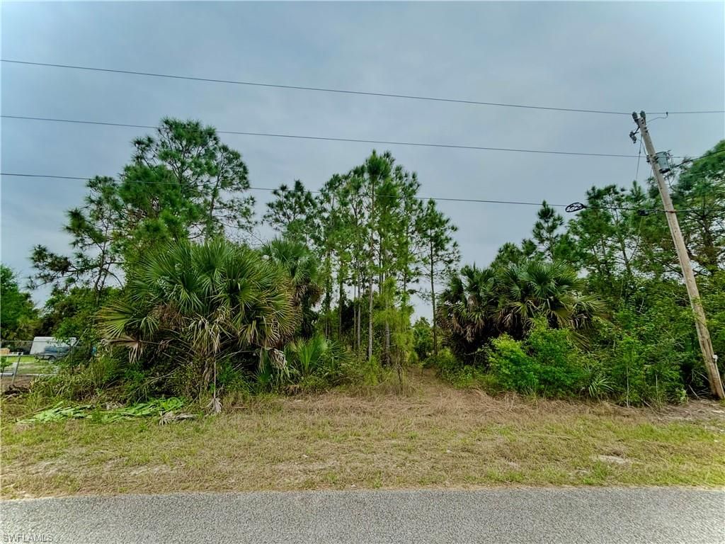 313 Selkirk AVE, LEHIGH ACRES, FL 33974 — exterior