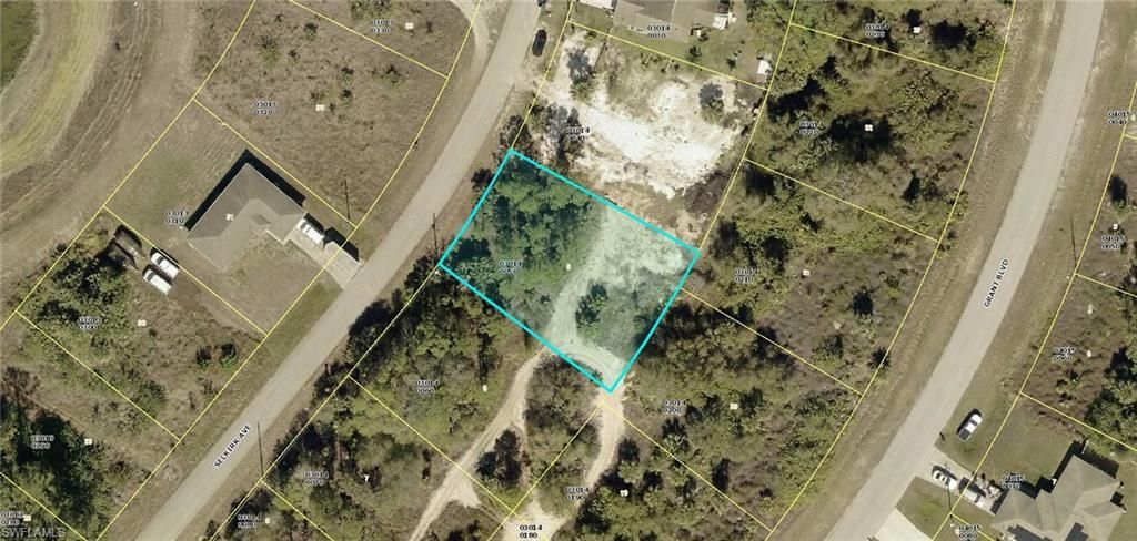 313 Selkirk AVE, LEHIGH ACRES, FL 33974 — photo 4