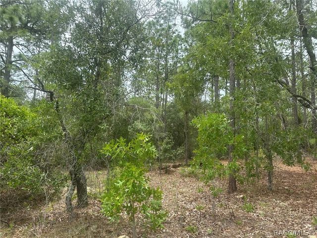 4809 W Gypsum Drive, Beverly Hills, FL 34465