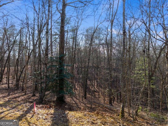 56 Robins Ridge 5A, 5AA, +, Blue Ridge, GA 30513