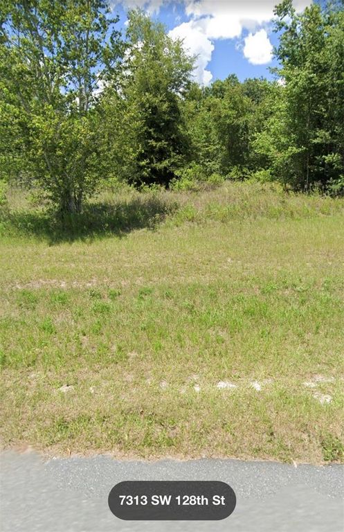 SW 128 ST, Ocala, FL 34473