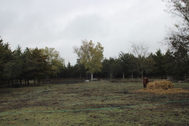 358 County Road 4519, Wolfe City, TX 75496