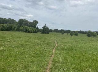 TBD County Road 2314, Pittsburg, TX 75686