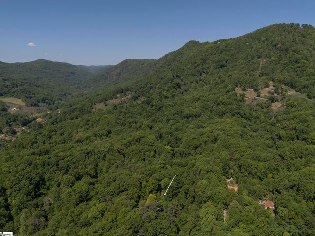 484 Sourwood Ridge Road, Tryon, NC 28782