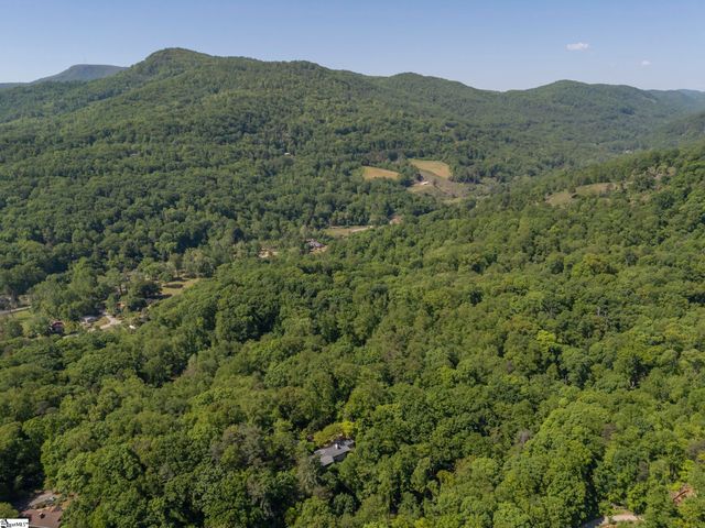 484 Sourwood Ridge Road, Tryon, NC 28782