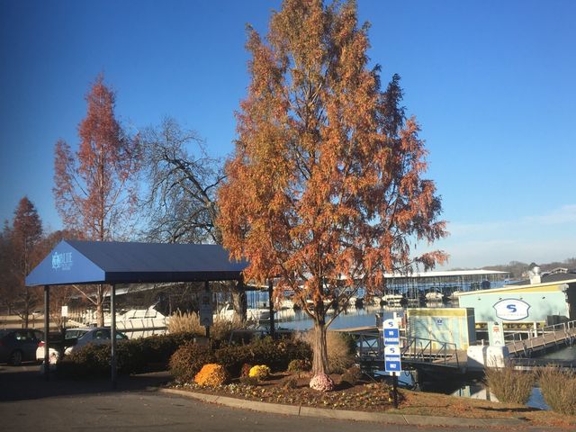 3034 Lakeshore, Old Hickory, TN 37138