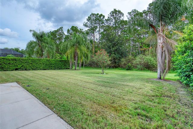 56 THORNHILL CHASE CIRCLE, Ormond Beach, FL 32174