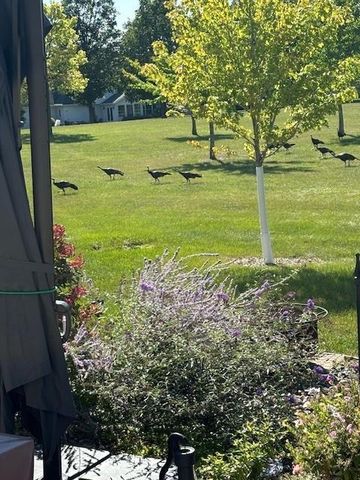 2429 Viola Heights Drive NE, Rochester, MN 55906