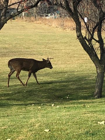 2429 Viola Heights Drive NE, Rochester, MN 55906