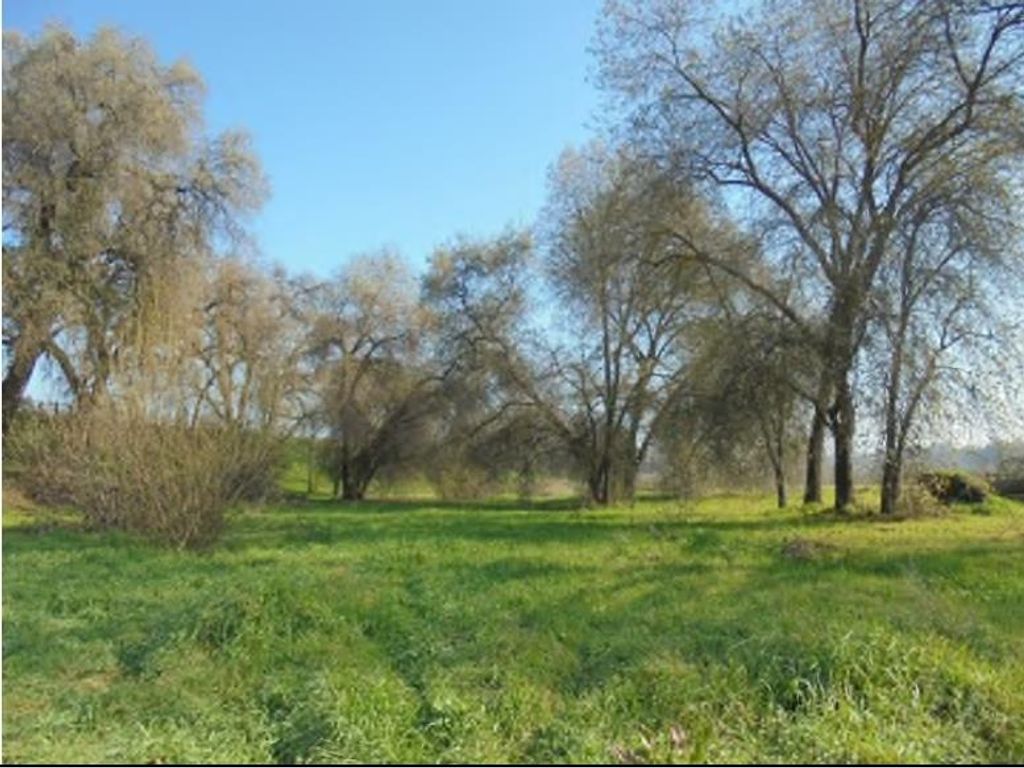 Image 17 of property listing at 1000 S Rainbow Route, Sanger, CA 93657