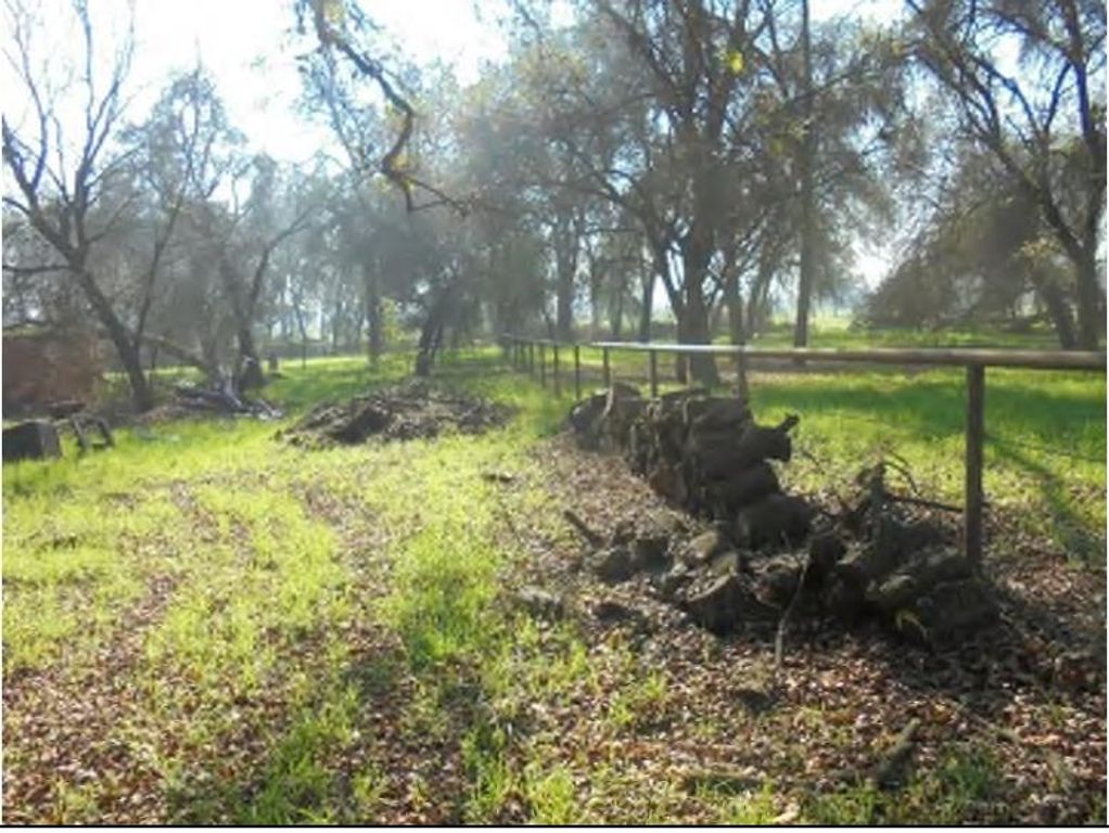 Image 8 of property listing at 1000 S Rainbow Route, Sanger, CA 93657