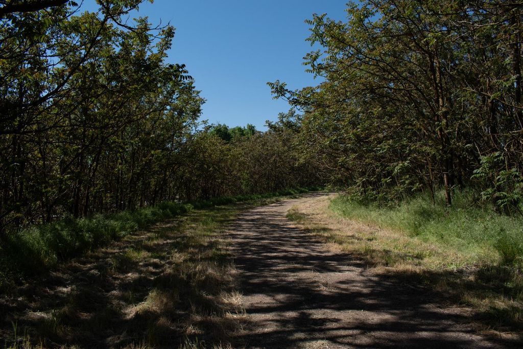 Image 9 of property listing at 1000 S Rainbow Route, Sanger, CA 93657